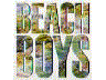 BEACH BOYS